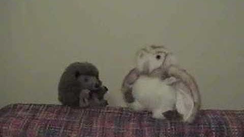 Malleable Memories Part 1 Introduction