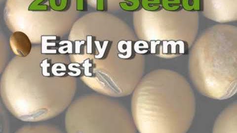 2011 Soybean Seed Issues