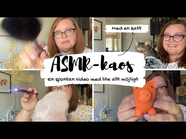 ASMR på svenska: Spontan video som spårar ur när jag släpper in katten 😅🙈🙀