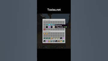 Why you should join toxiss smp
