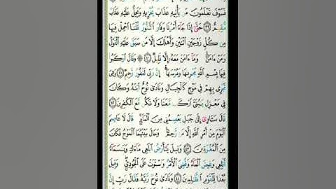 القارئ: الشيخ محمد عليوي منبج