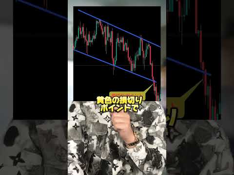 損切りは金額で決めずにコレをやれ！ #投資 #fx少額 #為替 #ドル円