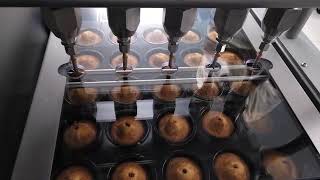 Injecteuse volumétrique pour madeleines, muffins,...