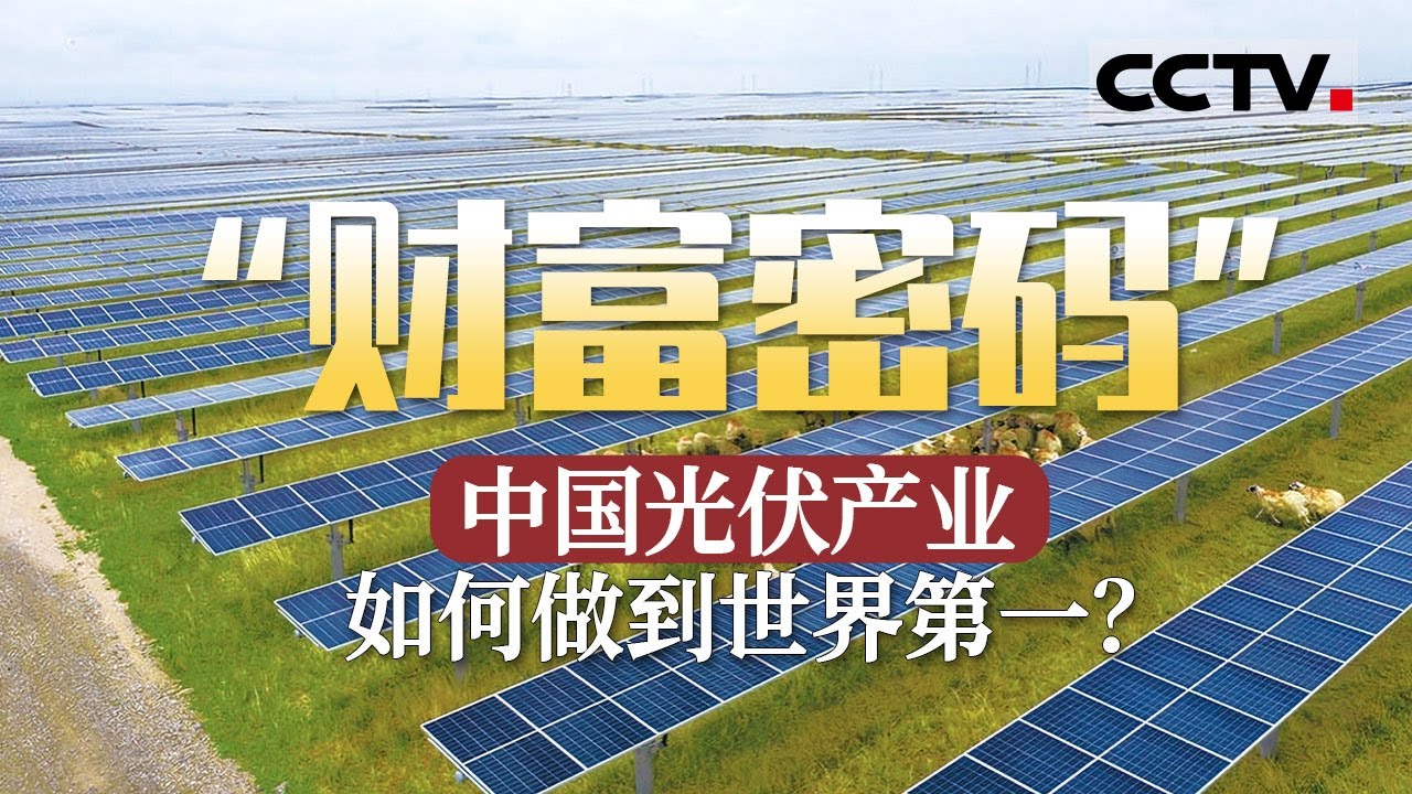 靠补贴干到世界第一！中国光伏是如何发展的？不仅能发电 还能养鱼养羊【CCTV纪录】
