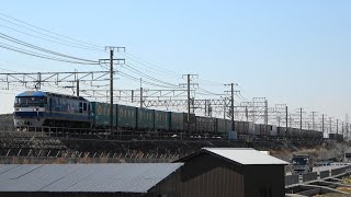 2022/02/25 62ﾚ EF210-331+コキ24両