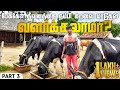 பேக்கேஜ் தீவனத்தை நம்பி கறவை மாடுகள்  வளர்க்கலாமா? | Hf cow feed management | Young Vivasayi |