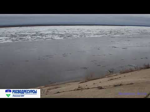 Онлайн трансляция реки Лена в районе водозабора г. Якутска
