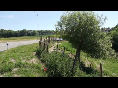 Terrain de 2'655 m2 à Delley-Portalban / FR   Réf. v1475 - VENDU PAR NOTRE AGENCE !