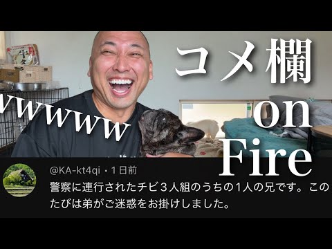 コメ欄がオンファイヤしすぎて笑いが止まらないのサムネイル