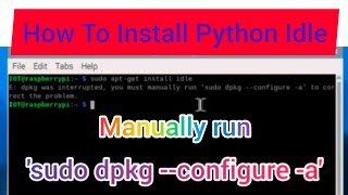 How To Install Python Idle in Raspberrypi। Manually run 'sudo dpkg --configure -a।