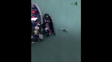 خليجي يدخل موسوعة غينيس للأرقام القياسية