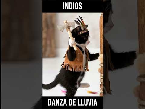 ¡Danza de la Lluvia! El ritual más loco