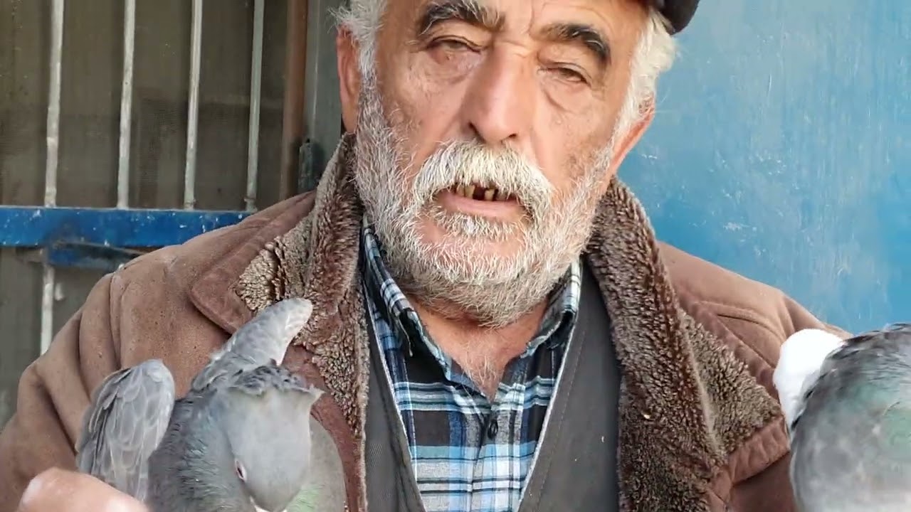 Kara mustafa dayi  damizliklari.1. bolum..