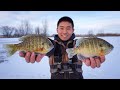 GIANT Bluegill CATCH CLEAN COOK! (Ice Fishing)