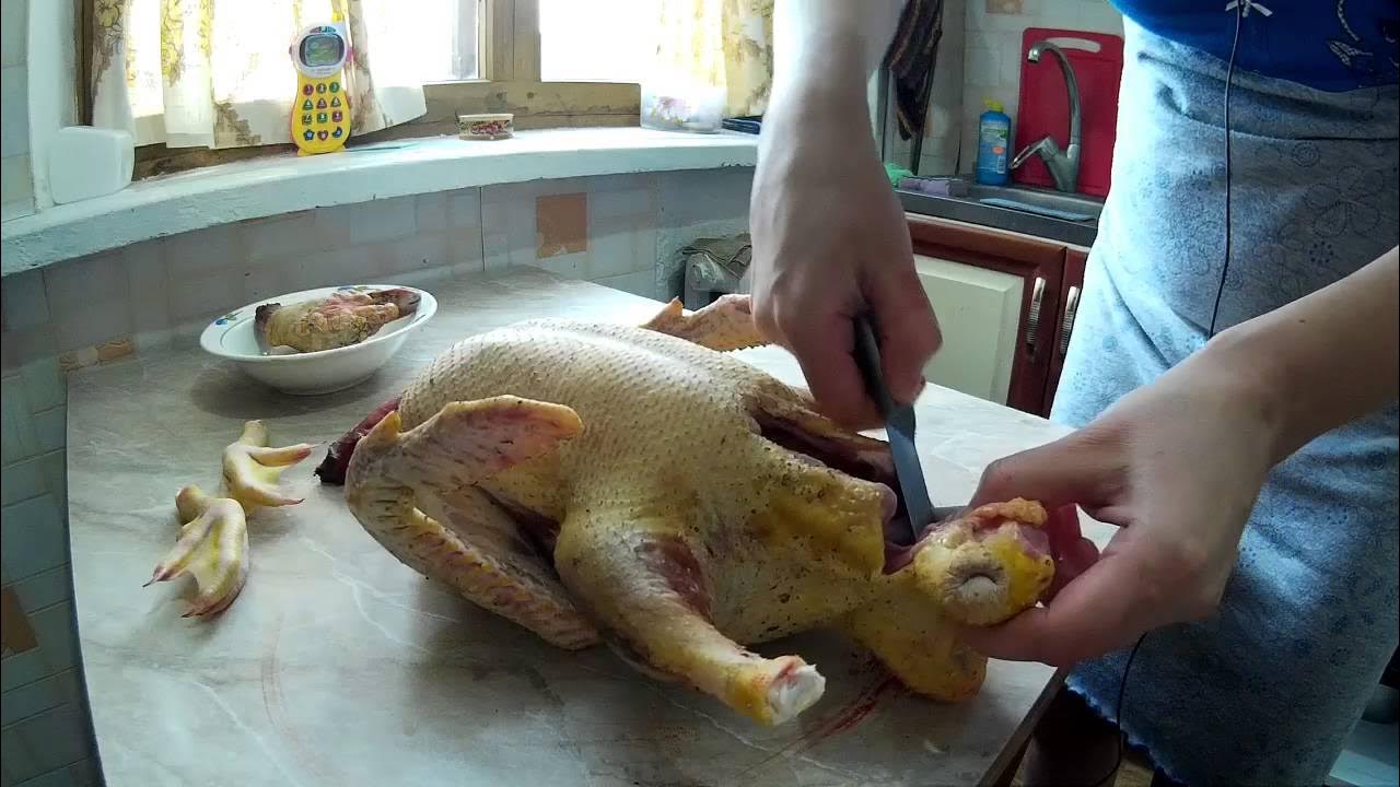 Селезень чубарой подсадной. Когда убирают уток. Подсадные домашние утки. Купальня для утят. Когда убирают уток.