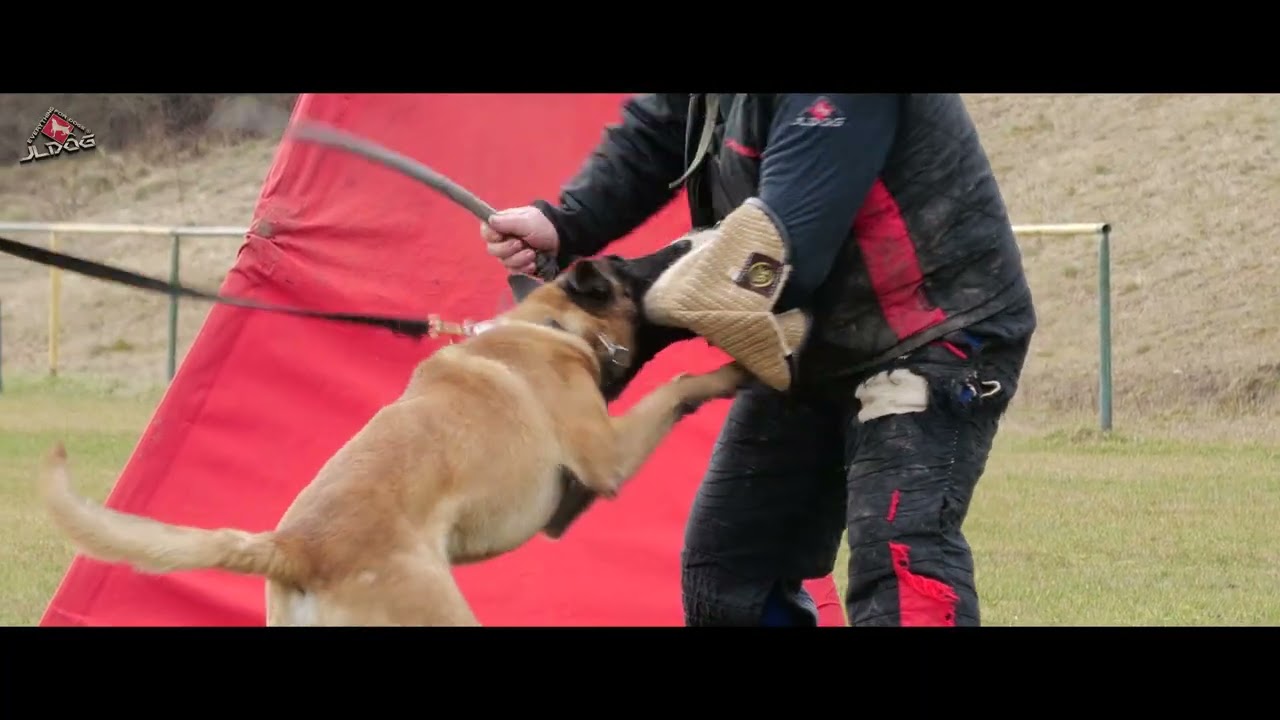 Cortes Jr. Browndemon - Slatinské Lazy 14. 2. 2026