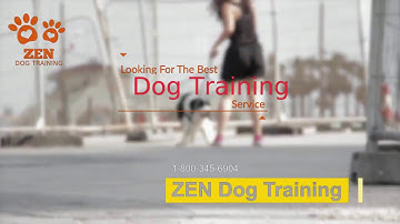 VideoRobot Kinetic Animation Video Templates Showreel