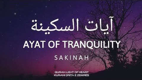 آيات السكينة بصوت القارئ عبدالرحمن مسعد و هزاع البلوشي و أحمد النفيس - AYAT OF TRANQUILITY - SAKINAH