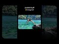 بقالي سنة في الغربة و اكتر حاجة اتعلمتها انك حرفيا لوحدك و دي حاجة كويسة و سيئة في نفس الوقت سفر بقالي سنة في الغربة و اكتر حاجة اتعلمتها انك حرفيا لوحدك و دي حاجة كويسة و سيئة في نفس الوقت سفر