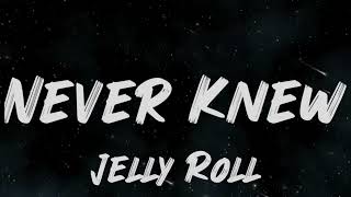 Jelly Roll - Never Knew (Song)