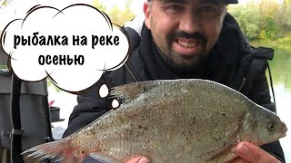 видео: Непредсказуемая осенняя рыбалка на реке картинка: Непредсказуемая осенняя рыбалка на реке