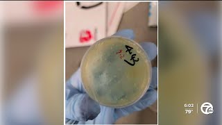 Chinese Citizen Arrested After Smuggling Biological Materials Related To U-M Lab