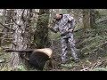 "No Glass Needed" Coastal Roosevelt Elk hunting with Shannon Mobbs and Angry Spike Productions.