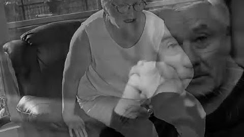 Move Forward Physical Therapy Brings Motion to Life APTA