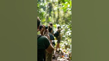 The Crooked Forest Nature’s Unsolved Mystery