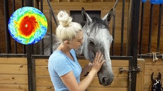 Hurricane IRMA Day 3 Evacuation: Reunited with my horse! | NICOLE SKYES