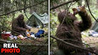 New HORRIFYING Bigfoot Encounters Caught On Camera!