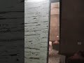 wall tiles and mate floor #tiles #viral #short #shortsfeed #trending #shorts #video #views #shorts