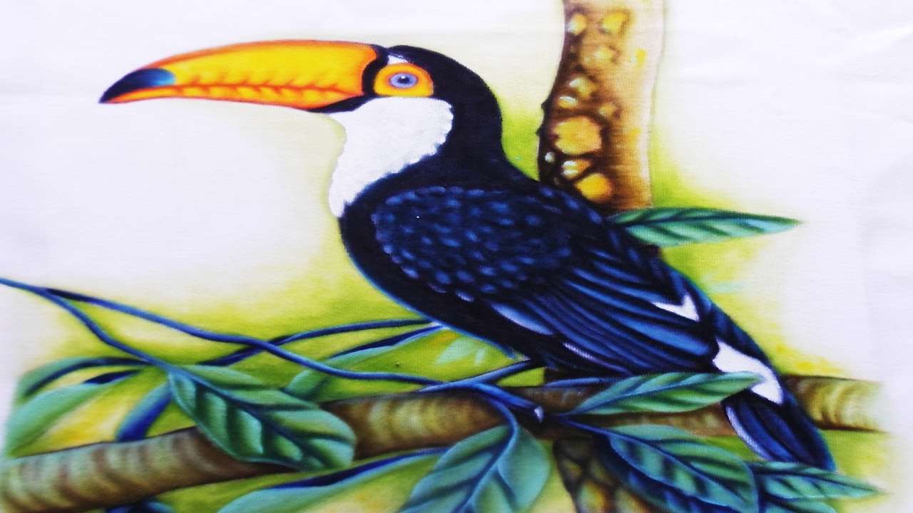 Aula Super Especial de Pintura no Tecido Tucano