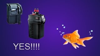 goldfish need filter