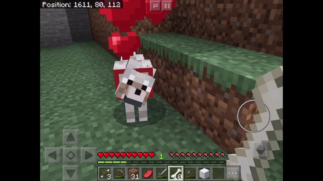 I Tamed Tow Dogs And Found Iron! [3] YouTube