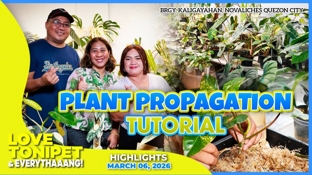 Plant Propagation Tutorial 101