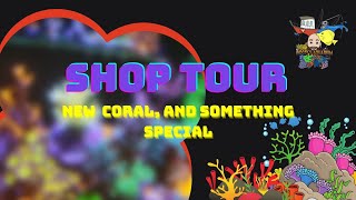 LFS shop tour, New Coral, Pico Update, and much more
