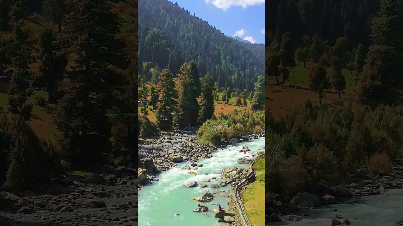 Straight from the heart of Kashmir 