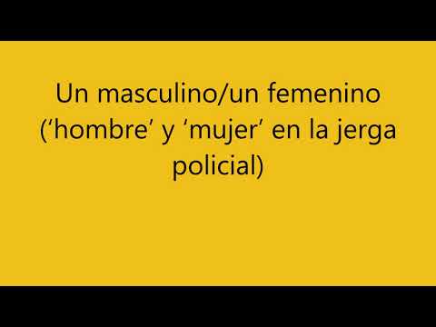 15 palabras de