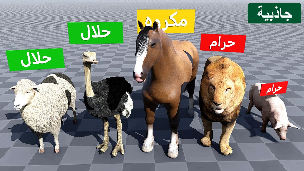 حلال وحرام لحوم الحيوانات في الإسلام (المذهب الحنفي)