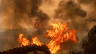 Wildfires are out of control. Computer Vision can stop them. by Garry Tan 4,546 views 9 months ago 10 minutes, 38 seconds