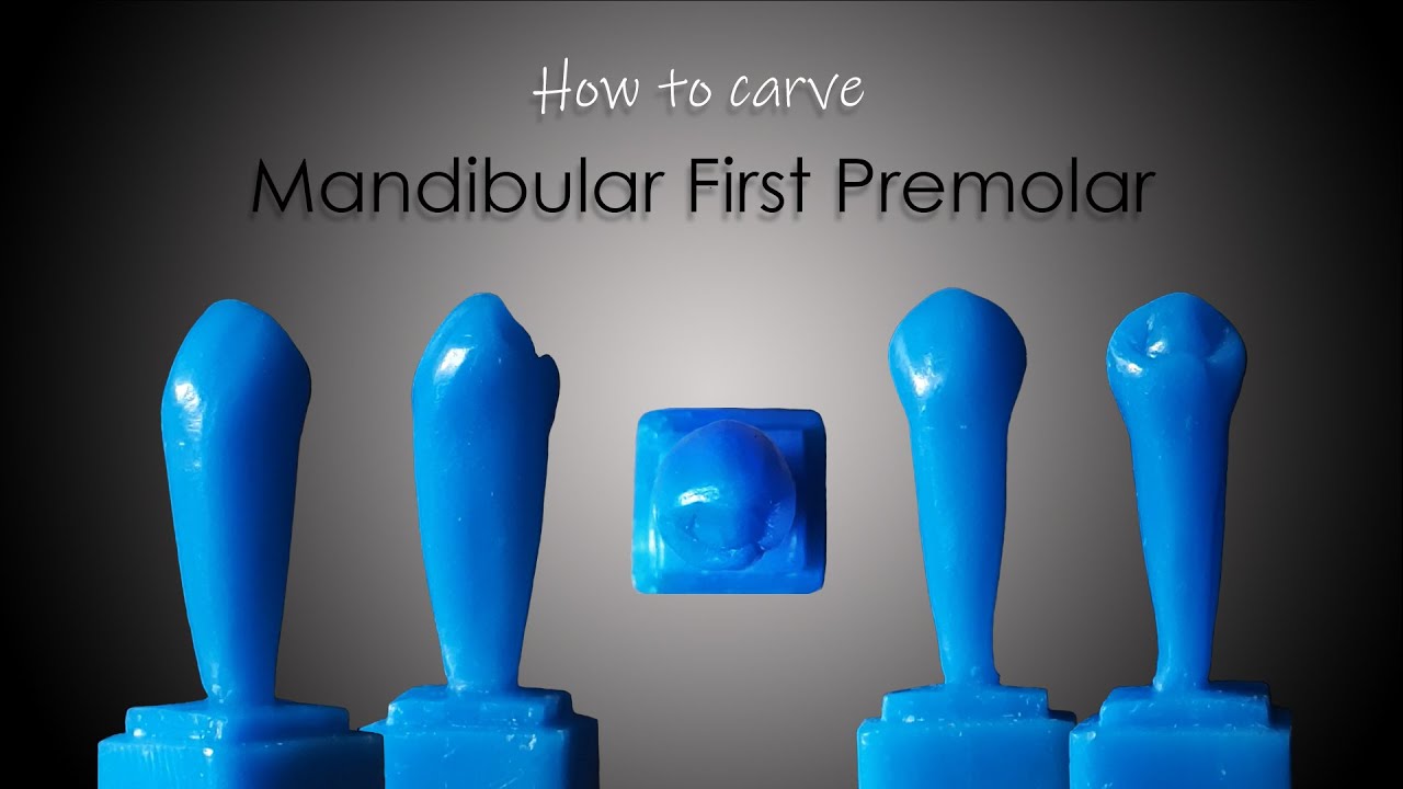 How to Carve a Mandibular First Premolar | ParixArt | Carving tutorial