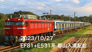 EF81牽引 E531系 K409編成 郡山入場配給