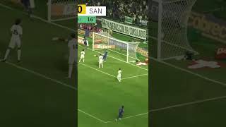 FLACO FAZ MAIS UM E CRAVA PALMEIRAS 3 X 0 SANTOS NA IDA DAS QUARTAS DA COPA DO BRASIL