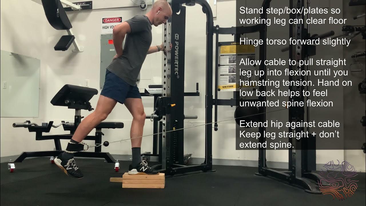Straight Leg Hip Extension (Cable Machine) YouTube