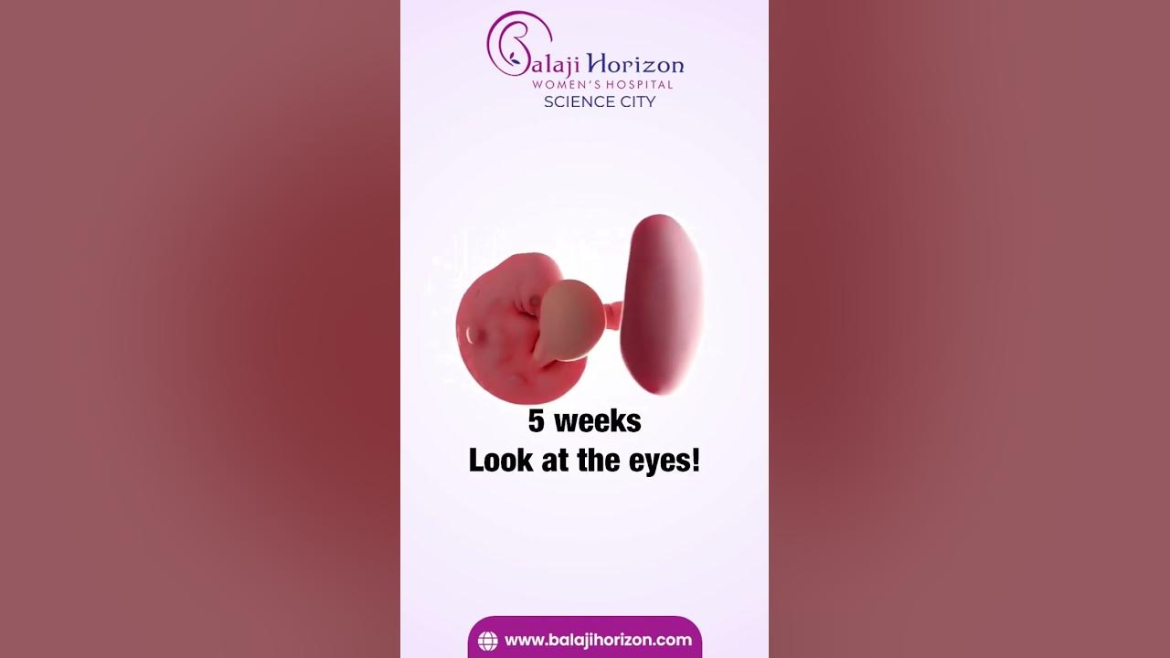 Incredible Fetus Transition 440 Weeks Balaji Horizon Women's