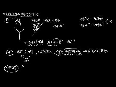 알코올성간염과 지방간염의 구분