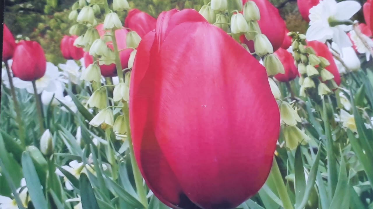 Магия дня.❤👋