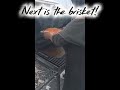 Thanksgiving 2025 aka Da Beast Feast!!! #alaska #thanksgiving2025 #smokingmeat #homecookedfood