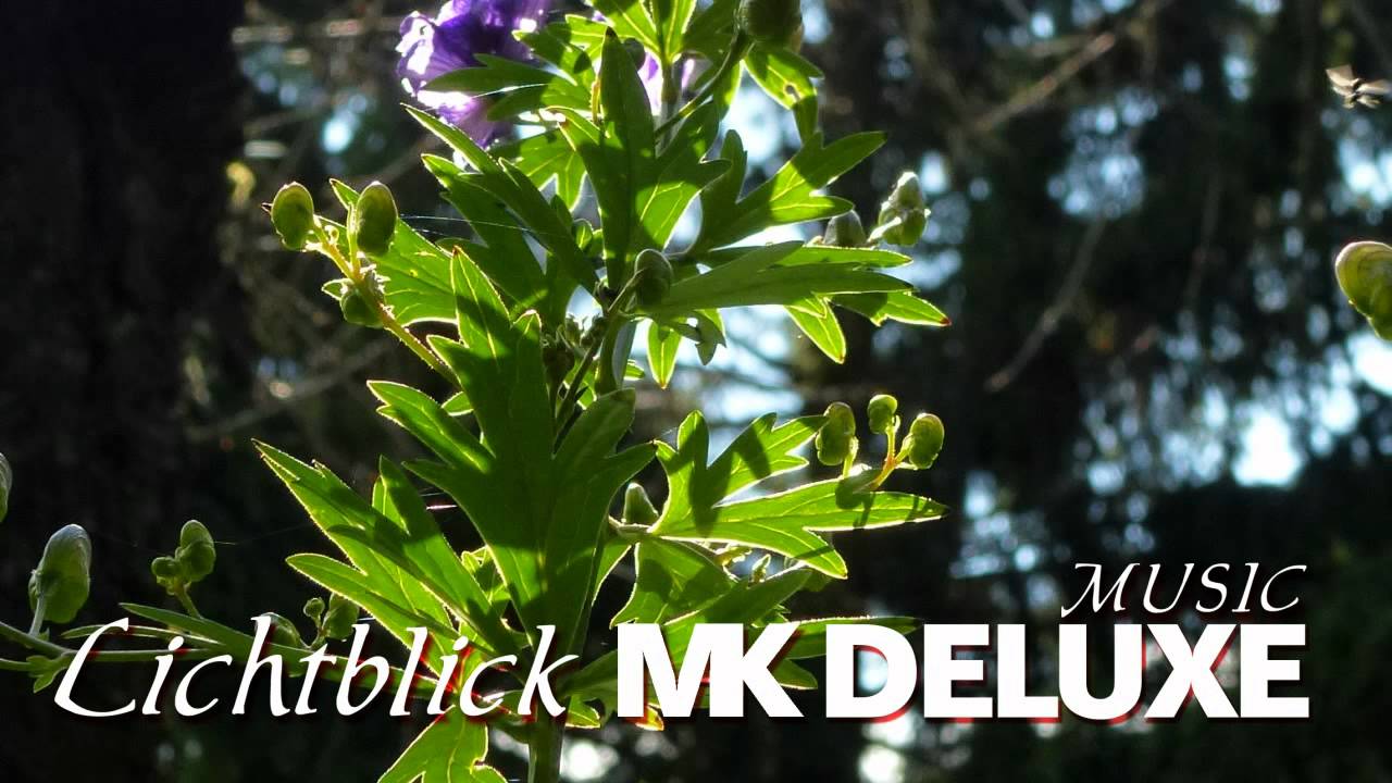 Mkdeluxe - Lichtblick